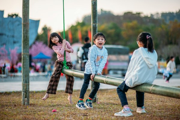 Le rôle des plantes indigènes dans les systèmes de permaculture