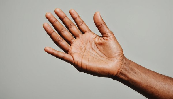 10 astuces incontournables pour bien entretenir vos palmiers